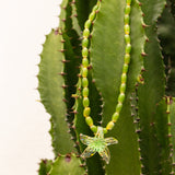 Collar Nodosus Verde